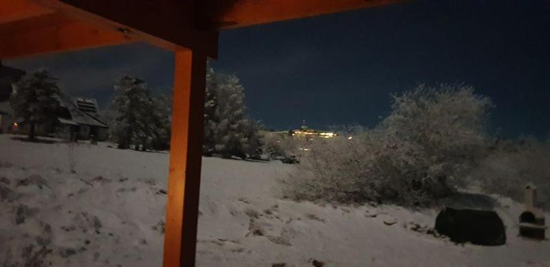 Holzblockhaus Magdalena Villa Altenberg  Exterior foto